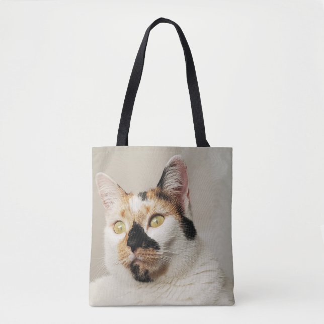 Bolso De Tela Calico Cat (Anverso)