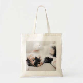 Bolso De Tela Calico Cat yacía en la espalda con patas arriba