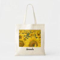 Campo amarillo de girasoles, fotografía