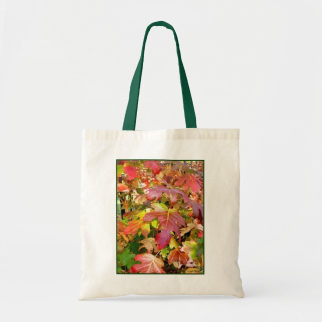 Bolso De Tela Canvas de presupuesto para 'hojas de otoño' a bols (Frente)