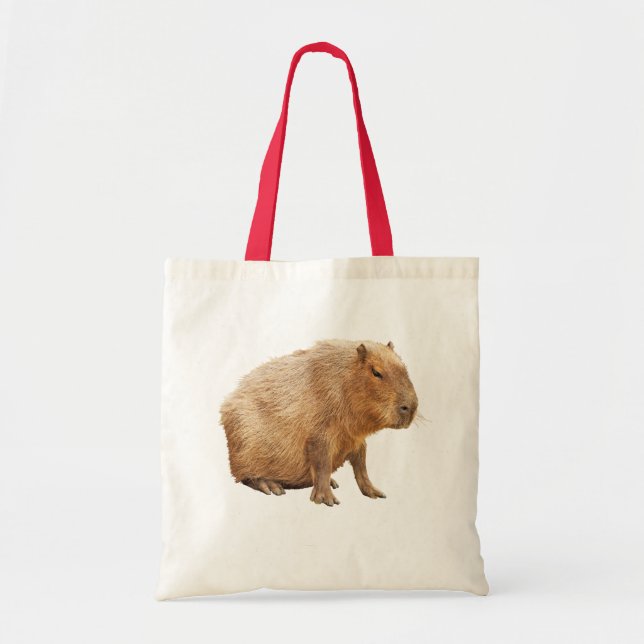 Bolso De Tela Capybara (Frente)