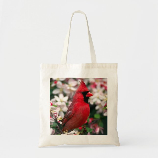 Bolso De Tela Cardenal de sexo masculino rojo (Frente)