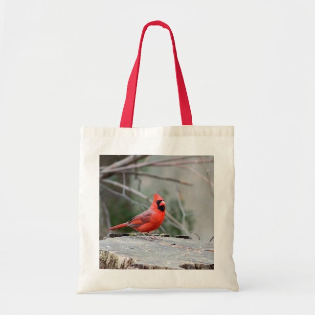 Bolso De Tela Cardinal Woodland (Frente)