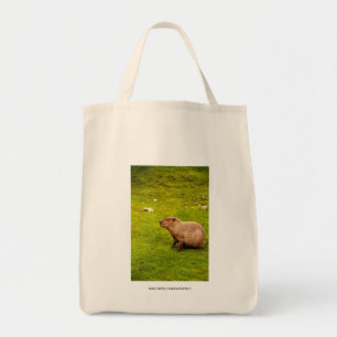 Bolso De Tela Carpincho
