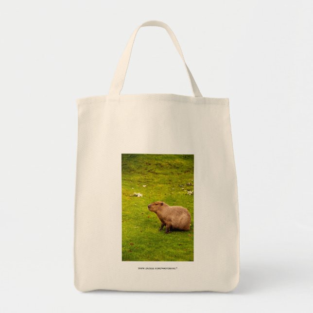 Bolso De Tela Carpincho (Frente)