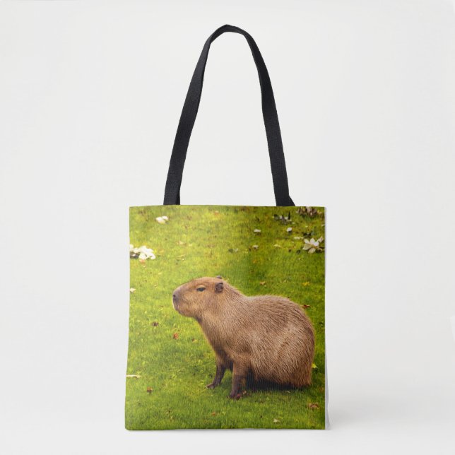 Bolso De Tela Carpincho (Anverso)