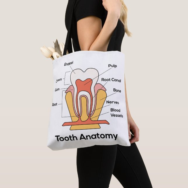 Bolso De Tela Carta de la anatomía del diente (Detalle)
