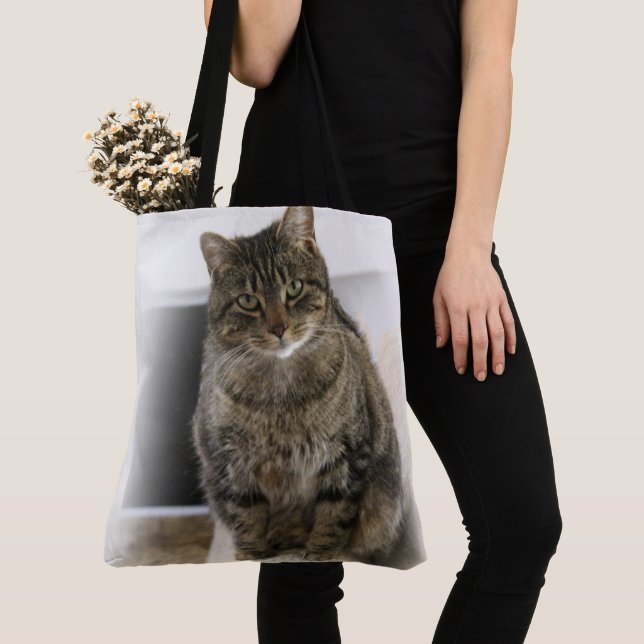 Bolso De Tela Cat Power (Detalle)