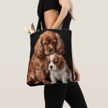Cavalier Spaniel Rubí y su cachorro Blenheim
