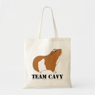 BOLSO DE TELA CAVY DEL EQUIPO