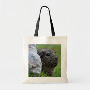 Bolso De Tela Cerdo Smooth, Shorthair, Lemon Agouti