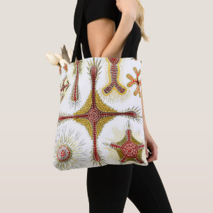 Bolso De Tela Chamomile salvaje de Ernst Haeckel, naturaleza vin