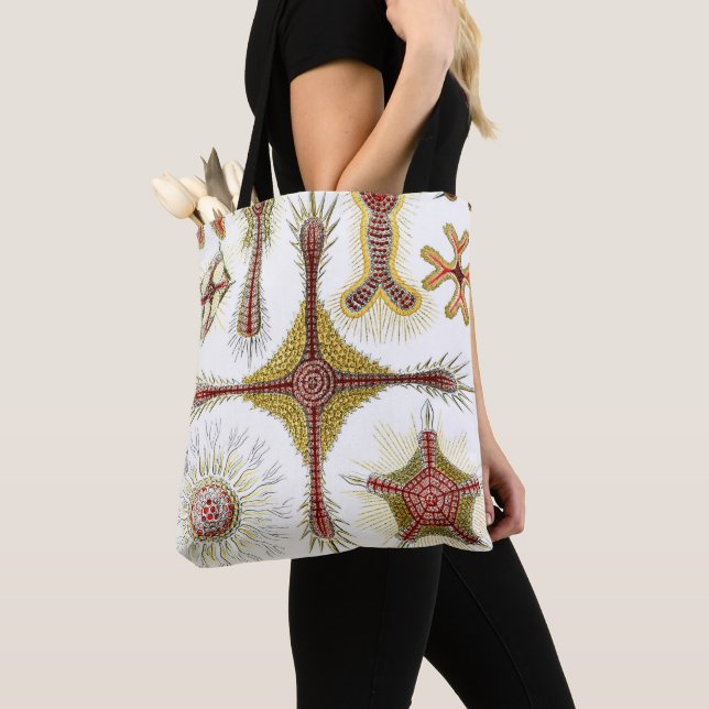 Bolso De Tela Chamomile salvaje de Ernst Haeckel, naturaleza vin (Detalle)