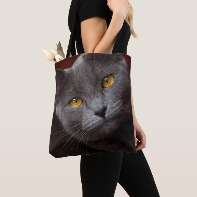 Bolso De Tela Chartreux (Detalle)