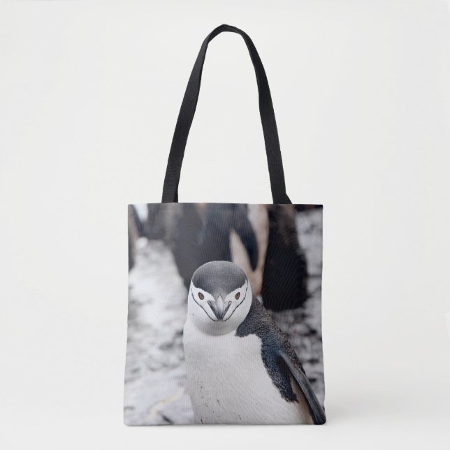 BOLSO DE TELA CHINSTRAP PENGUIN (Anverso)