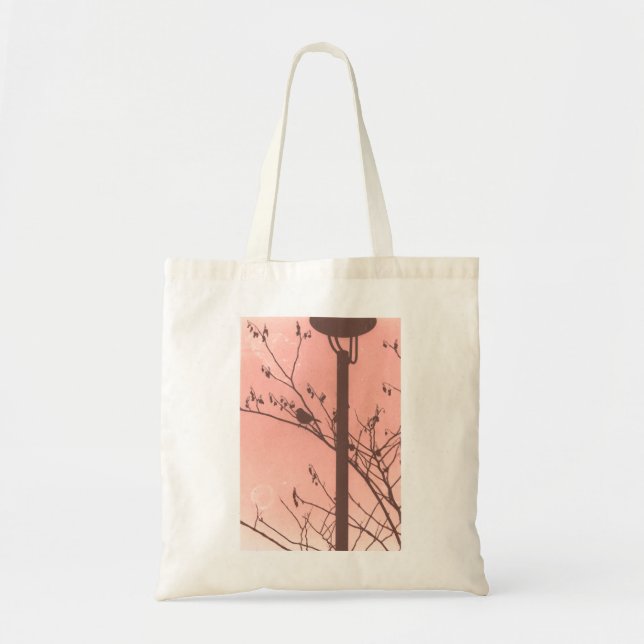 Bolso De Tela Chirrido (Frente)