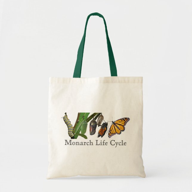 BOLSO DE TELA CICLO VITAL DEL MONARCA (Frente)