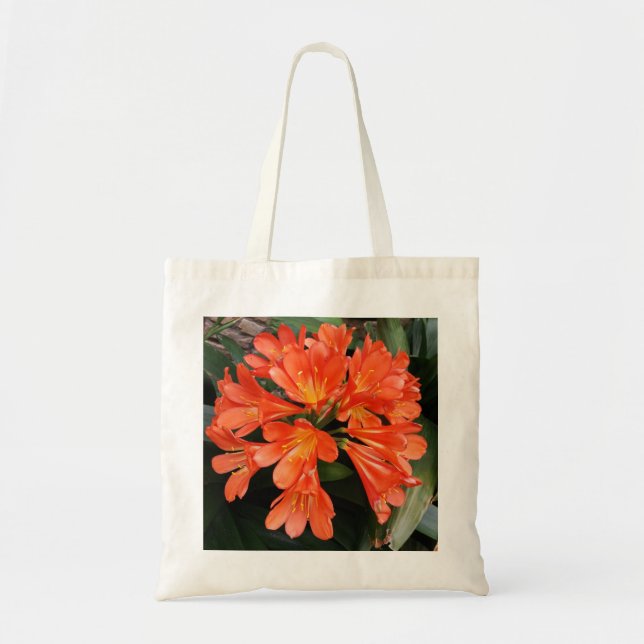 Bolso De Tela Clivia Miniata - La Naranja hermosa Flor (Frente)
