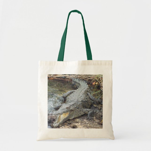 Bolso De Tela Cocodrilo jamaiquino de agua salada (Frente)