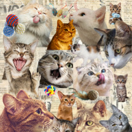 Bolso De Tela Collage de gatos y juguetes