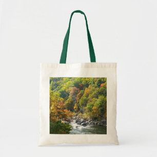 Bolso De Tela Color de la caída en el Parque Estatal Ohiopyle