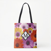 Colorida Medley de las flores africanas de Daisies