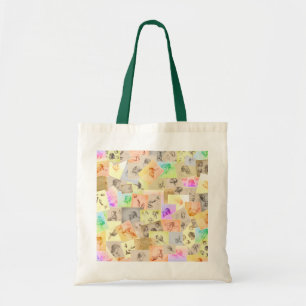 Bolso De Tela Coloridos estudios de lápiz antiguos