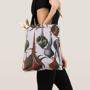 Bolso De Tela Conchas marinas, Conchas marinas antiguas, Vida ma