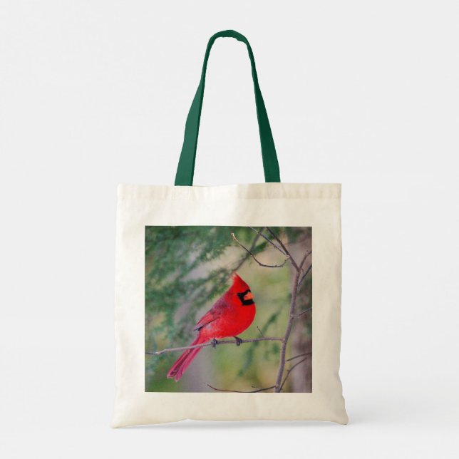 Bolso De Tela Contraste cardinal (Reverso)