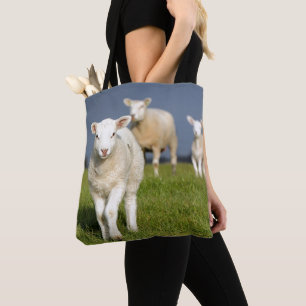 Bolso De Tela Cordero curioso