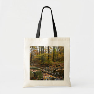 Bolso De Tela Creek otoñal con reflexión en Laurel Hill Park