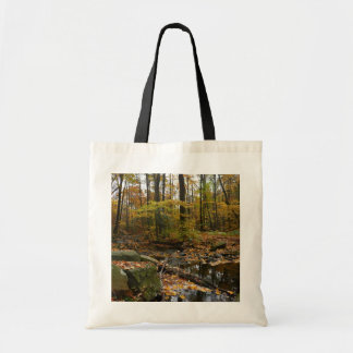 Bolso De Tela Creek otoñal con reflexión en Laurel Hill Park