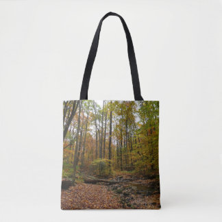 Bolso De Tela Creek otoñal en el Parque Estatal Laurel Hill en P