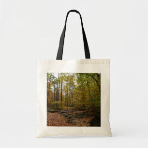 Bolso De Tela Creek otoñal en el Parque Estatal Laurel Hill en P
