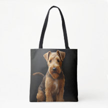 CUTE TAN Y BROWN WELSH TERRIER DOG