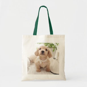 Bolso De Tela Dachshund miniatura