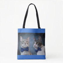 Debonair Kitties