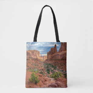 Bolso De Tela Desiertos   Parque nacional Arches, Utah