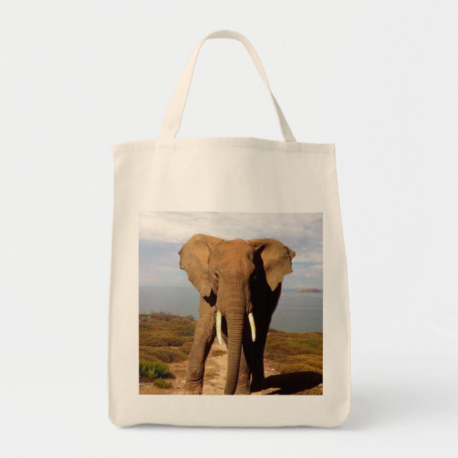 Bolso De Tela Día de la Playa del Elefante, (Frente)
