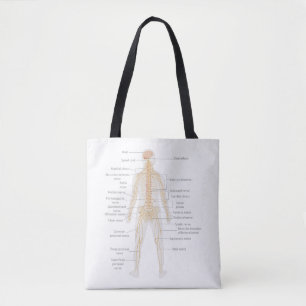 Bolso De Tela Diagrama del cuerpo del sistema nervioso humano