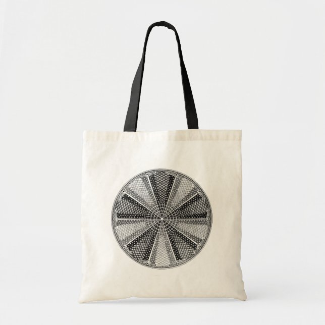 Bolso De Tela Diatom 13 Ernst Haeckel Bella Artes (Frente)