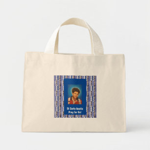 Bolso De Tela Diminuto Acumulación de St Carlo