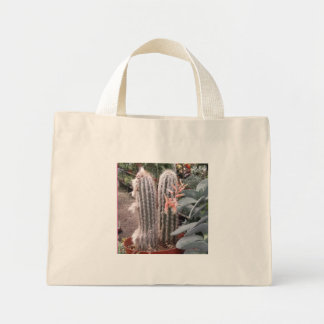 Bolso De Tela Diminuto Cactus Gift Bag