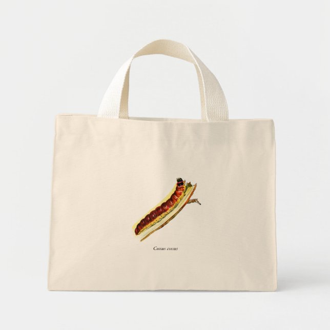Bolso De Tela Diminuto Cuenca cossus (Frente)