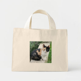 Bolso De Tela Diminuto Gato Fantasma de la Ópera