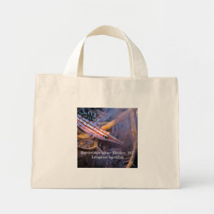 Bolso De Tela Diminuto Hepicophynchus