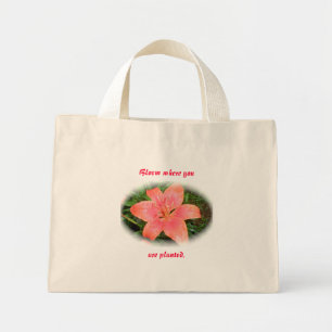 Bolso De Tela Diminuto Lily Bloom, Naranja Rojo, donde estás plantado Tot