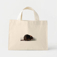 Rat ttcna