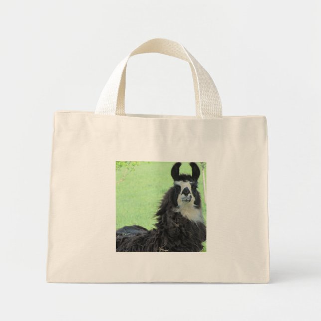 Bolso De Tela Diminuto tote Llama (Frente)