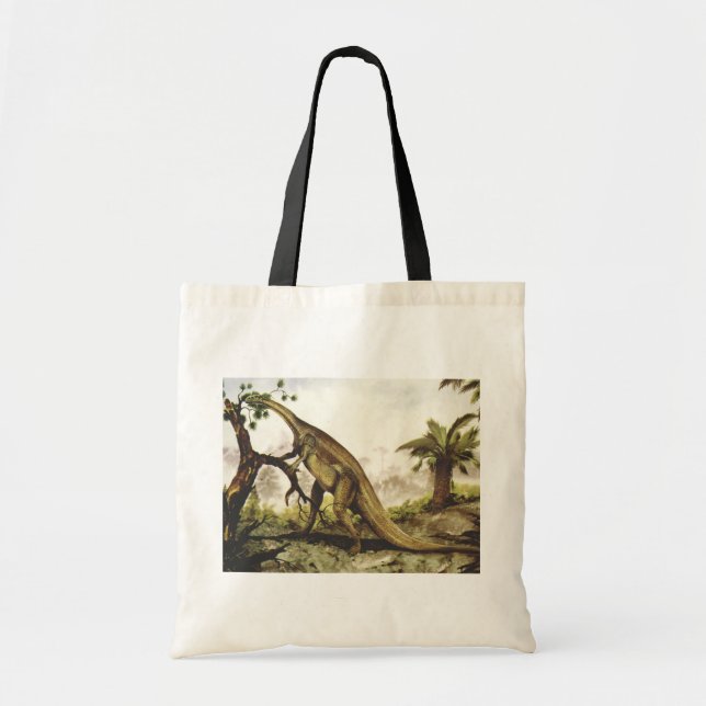 Bolso De Tela Dinosaurios Antiguos, Plateosaurus Pastando en Árb (Frente)